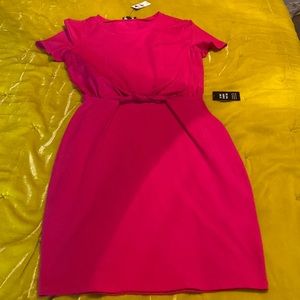 Hot Pink Express Dress